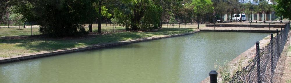 Milton Drain at high tide on 12 January 2013.