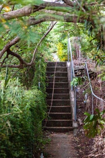 Steps on the footpath along Milton Road. These steps follow the original hill, which has been cut down along the roadway.