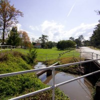 The pond by the culvert under Baroona Road at Norman Buchan Park