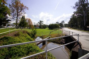 The pond by the culvert under Baroona Road at Norman Buchan Park