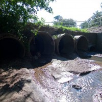 A drain pit in Norman Buchan Park.