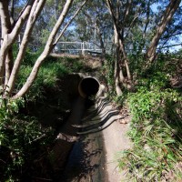 A drain pit in Norman Buchan Park