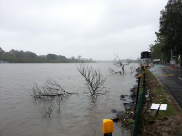 The Brisbane River just near Lang Parade, 27 January 2013.