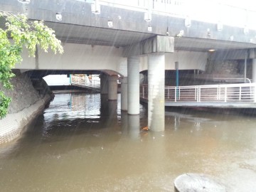 Under Dunmore Bridge (Coronation Drive), 27 January 2013.