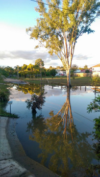 Flooding in Boobock St, Rocklea, 4:53pm, 2 May.