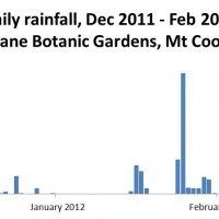 Daily rainfall at the Mt Coot-tha Botanic Gardens, December 2011 to February 2012. (Bureau of Meteorology, Climate Data Online)