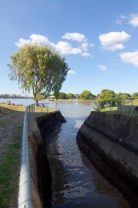 The mouth of Toowong Creek