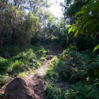 A clearing in the Weedy Wonderland, which appears to have been terraformed for recreational purposes