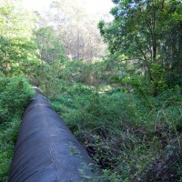 The sewage pipe crossing through a clearing